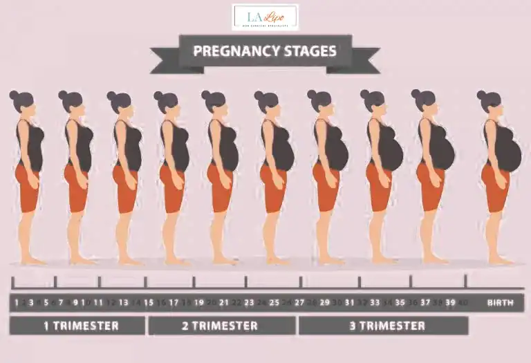 First Trimester (Weeks 1–12): Early Changes You Might Not Notice Ealing